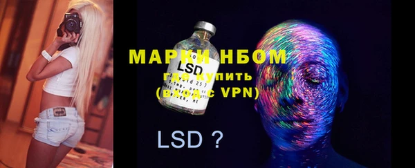 мдпв Лагань