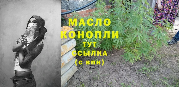 мдпв Лагань