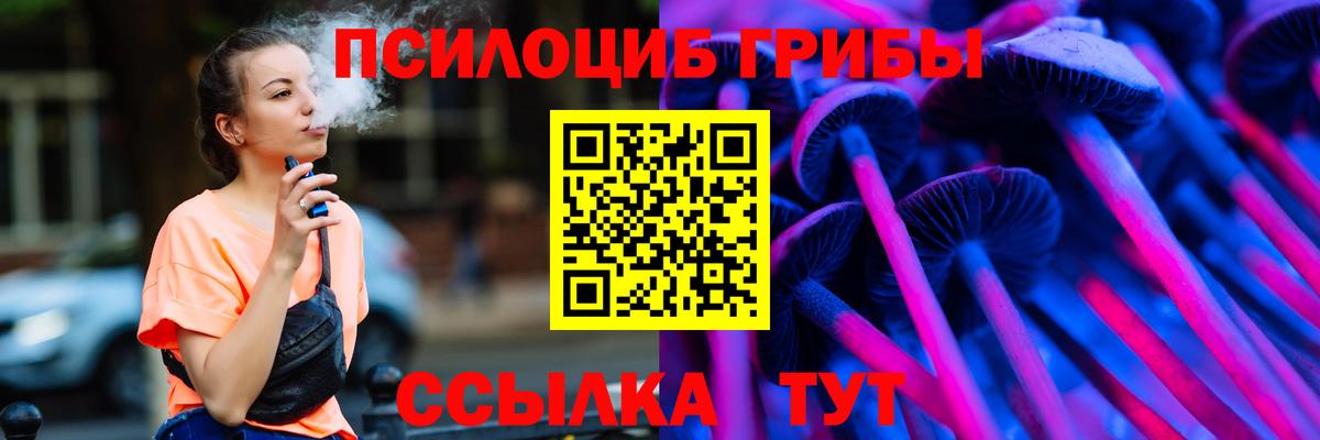Армавир  Псилоцибиновые грибы Psilocybine cubensis  магазин продажи наркотиков  Псилоцибиновые грибы Magic Shrooms  Вход с VPN 